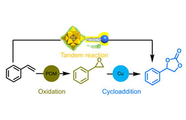 Hetero-motif POM molecular junctions enable tandem olefin epoxidation and CO2 fixation 2026.100946